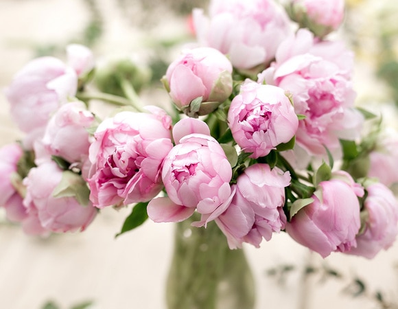 Май — 2019: автор и рецепты месяца