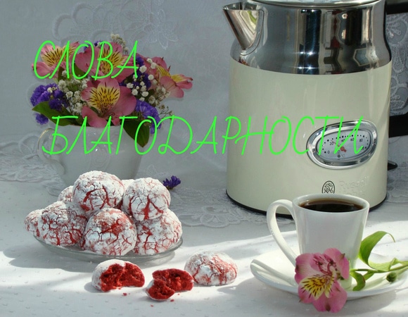 Слова благодарности!