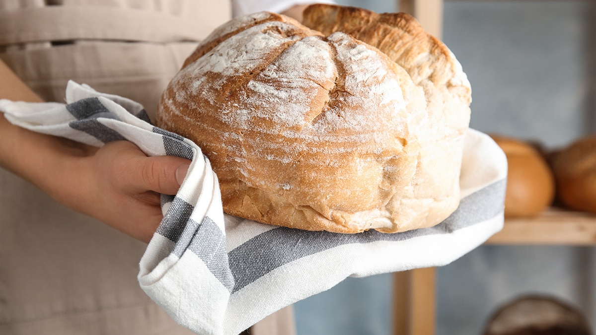 Конкурс рецептов «Кулинарные эксперименты с Panasonic» 1 этап: итоги Конкурс рецептов «Кулинарные эксперименты с Panasonic» 1 этап: итоги