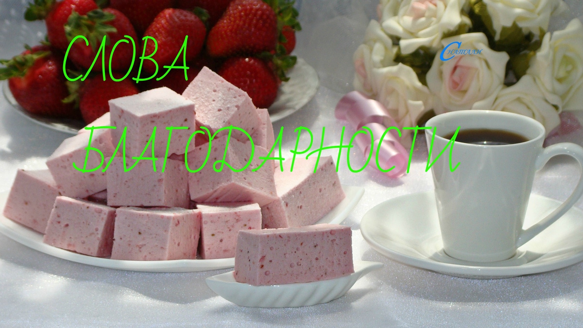 Слова благодарности Joseph Joseph и Kenwood