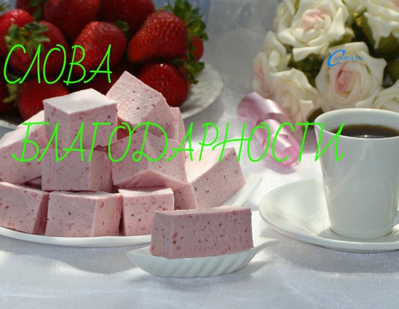 Слова благодарности Joseph Joseph и Kenwood Слова благодарности Joseph Joseph и Kenwood