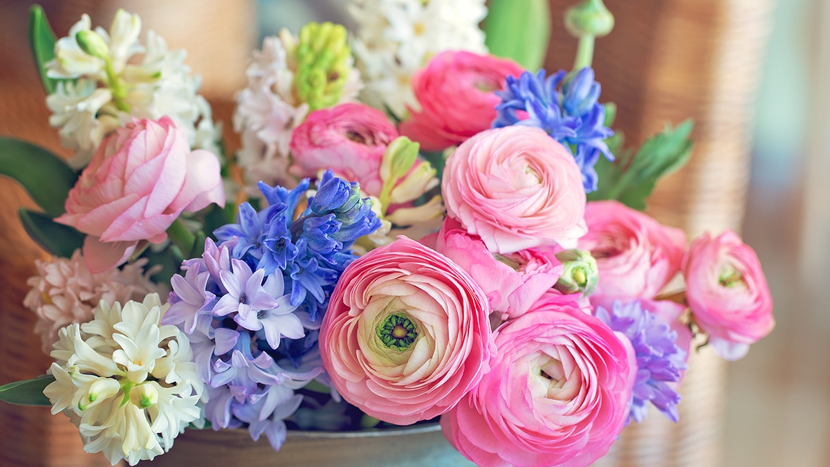 Март — 2020: автор и рецепты месяца