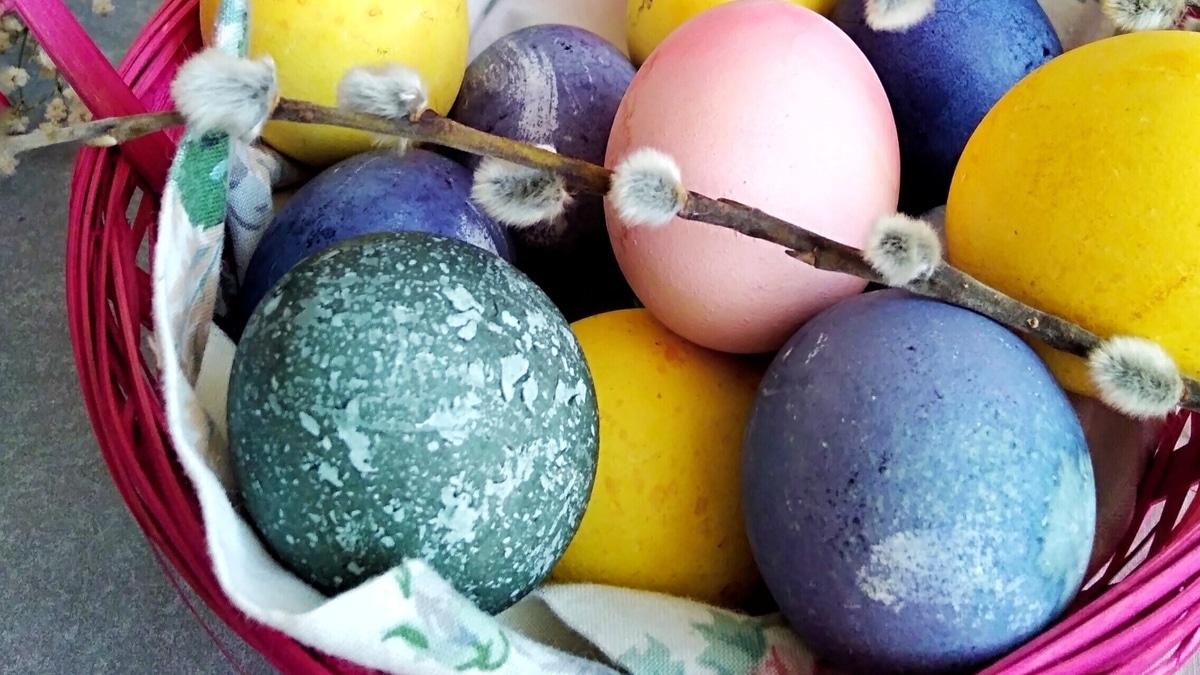 С праздником Светлой Пасхи!