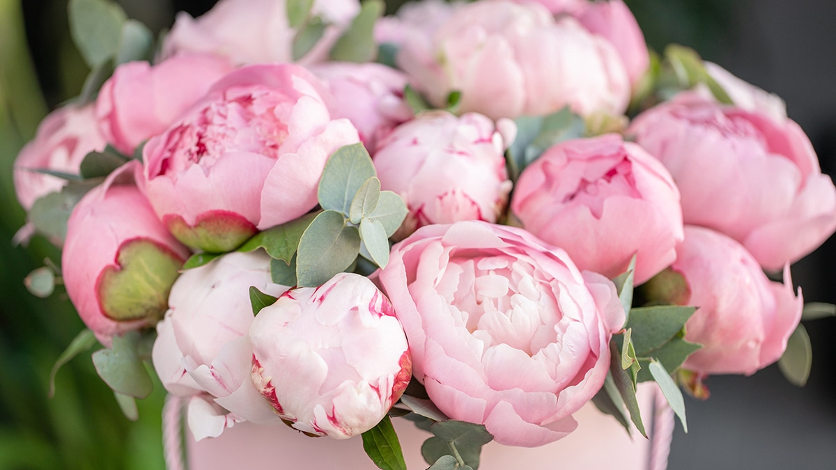 Апрель — 2020: автор и рецепты месяца