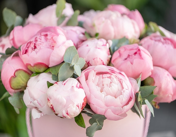 Апрель — 2020: автор и рецепты месяца