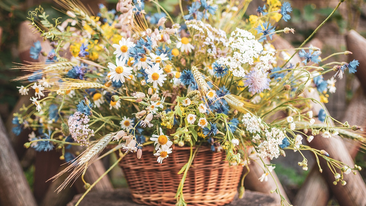 Июль — 2020: автор и рецепты месяца