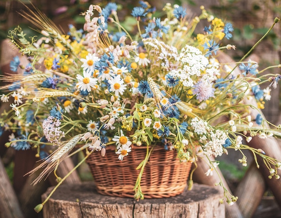 Июль — 2020: автор и рецепты месяца