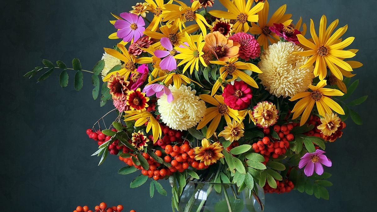 Сентябрь — 2020: автор и рецепты месяца