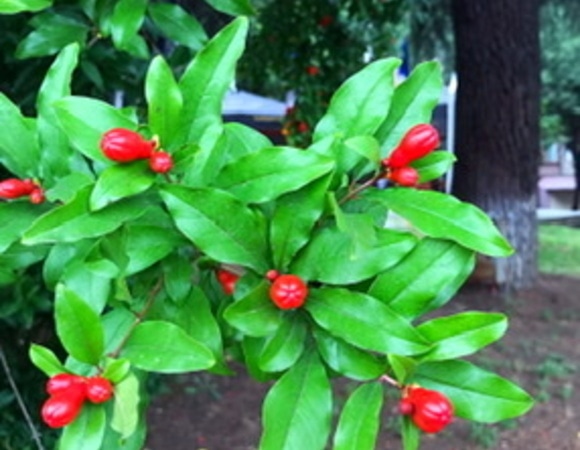 Спасибо за подарки! Спасибо за подарки!