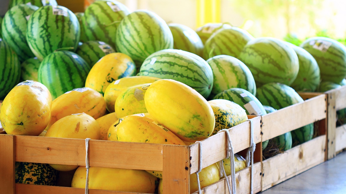 250 бахчевых развалов начали работать в Москве