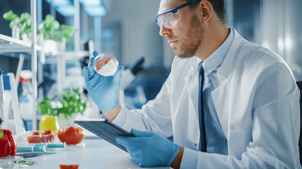 Опрос: каждый второй россиянин доверяет «еде будущего»