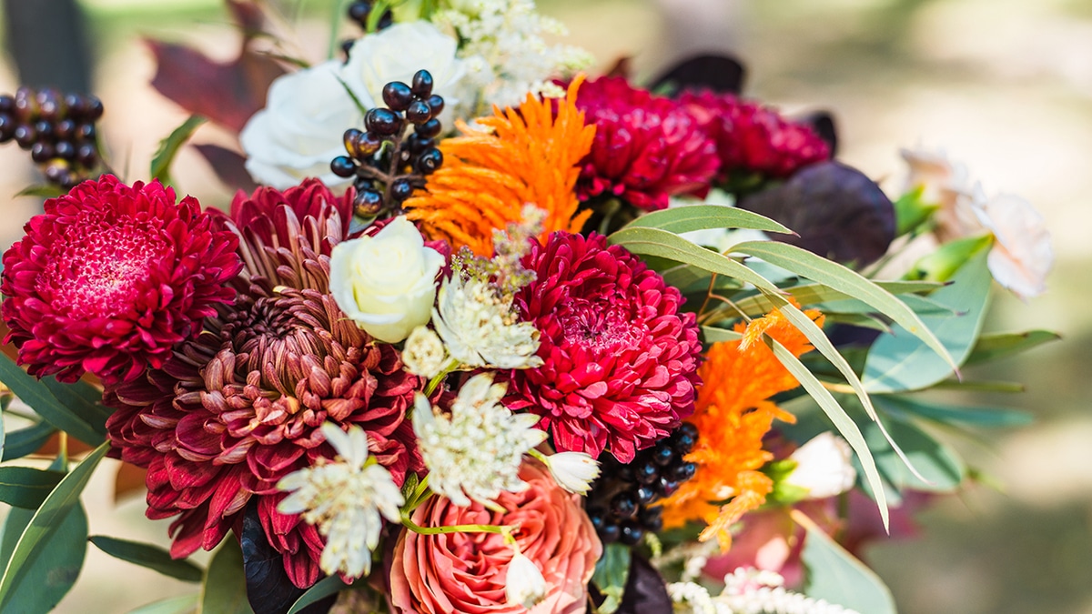 Август — 2021: автор и рецепты месяца