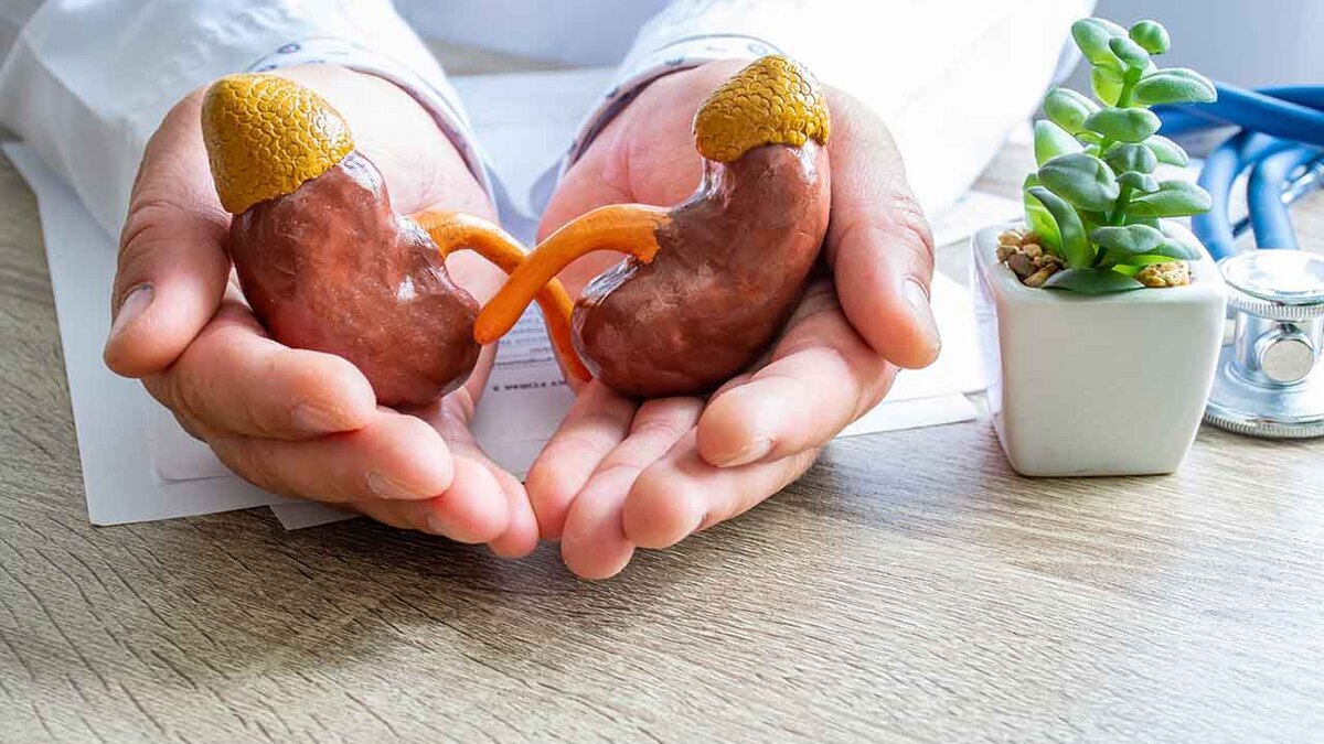 Какие продукты опасны для почек: мнение диетолога