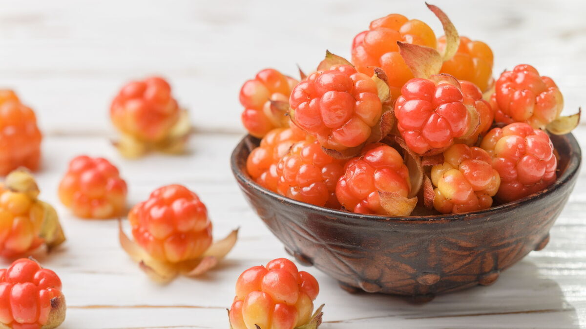 Ученые обнаружили натуральный антибиотик в морошке