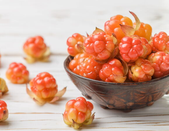 Ученые обнаружили натуральный антибиотик в морошке