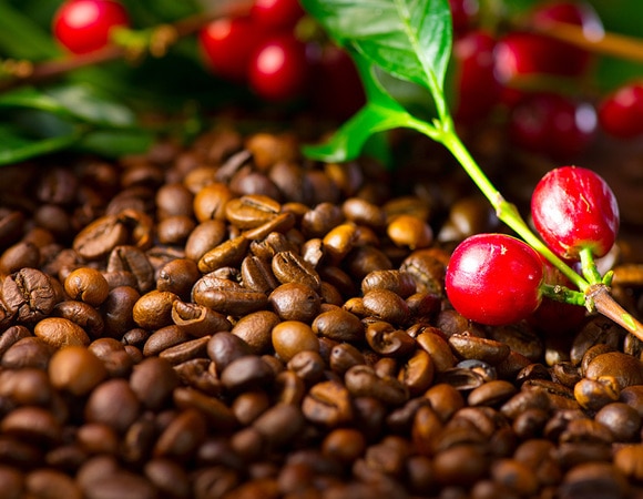 Производство кофе оказалось под угрозой