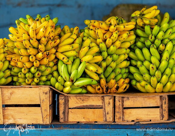 Россия может остаться без бананов из Эквадора