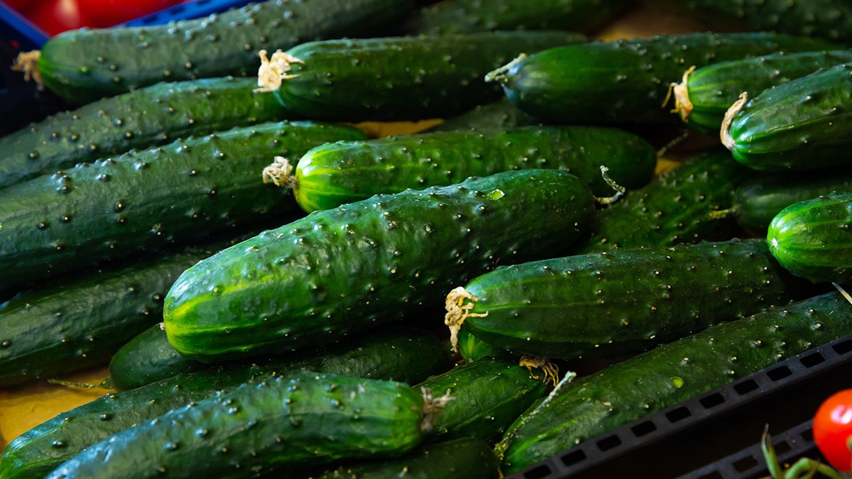 Огурцы подешевели на фоне роста цен на другие продукты 