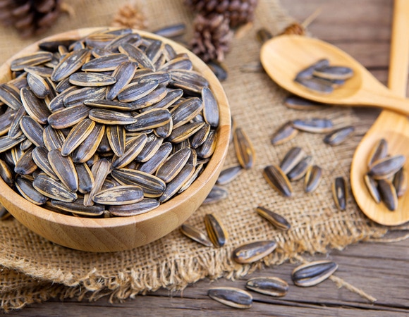 Почему не стоит есть семечки: ответы диетологов Почему не стоит есть семечки: ответы диетологов