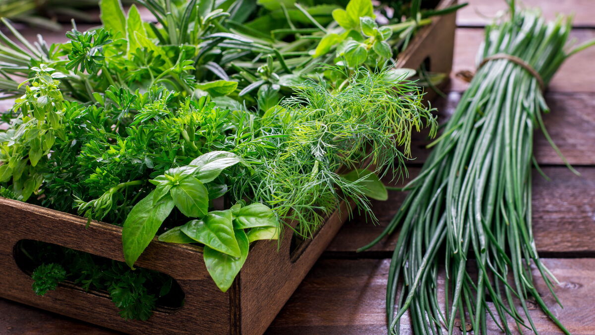 Названы продукты для здоровья печени