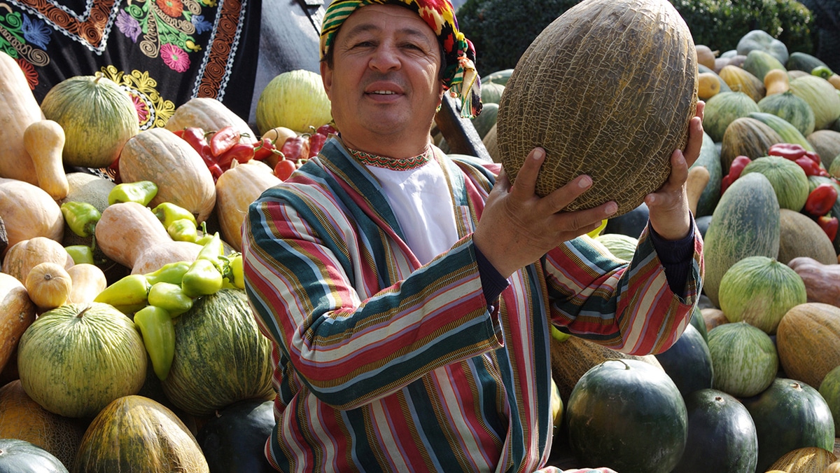 В России договариваются о поставках овощей, фруктов и вина из Узбекистана