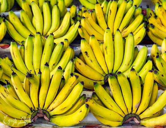 Фермеры из Эквадора протестуют из-за невозможности экспорта бананов в РФ