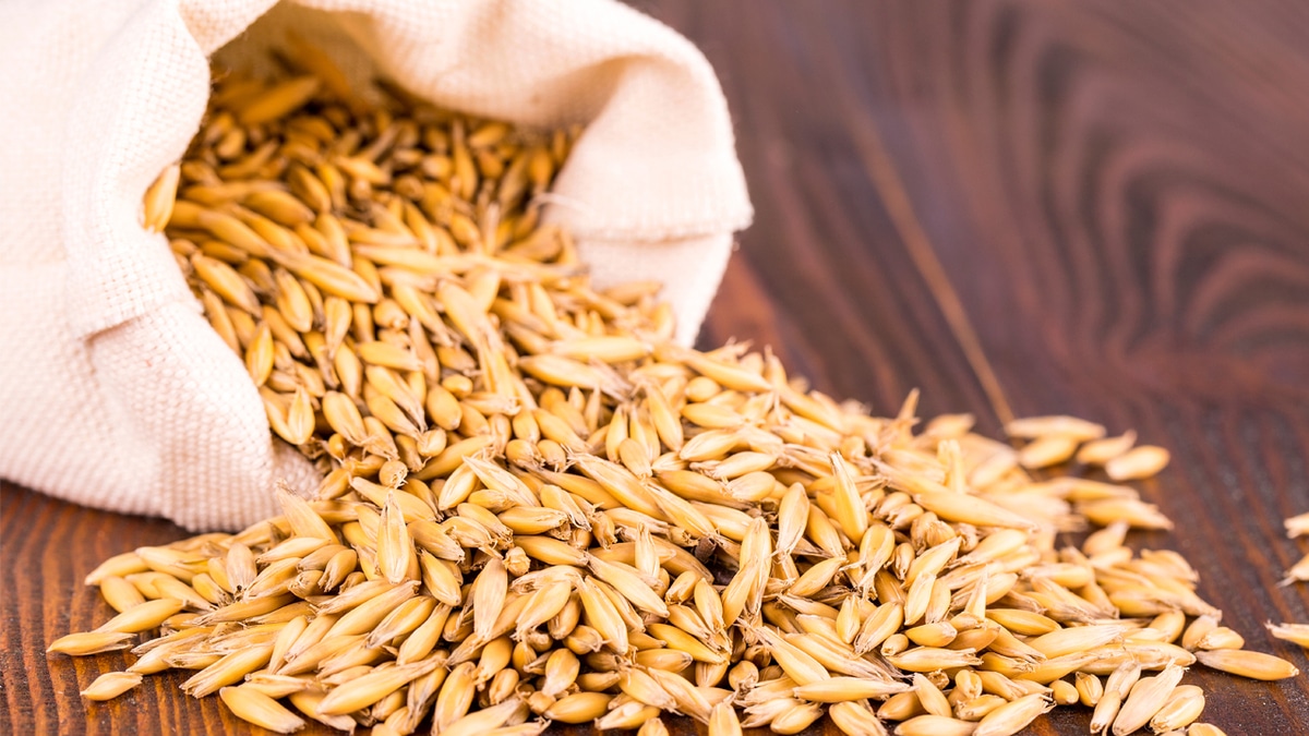 Беларусь вводит ограничения на вывоз некоторых продуктов Беларусь вводит ограничения на вывоз некоторых продуктов