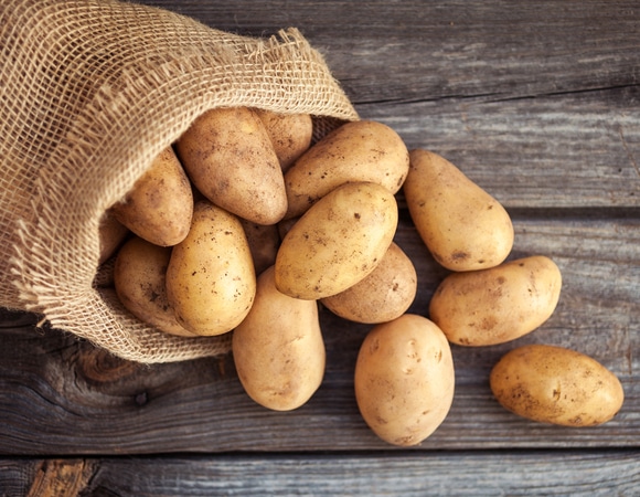 Назван признак ядовитого картофеля