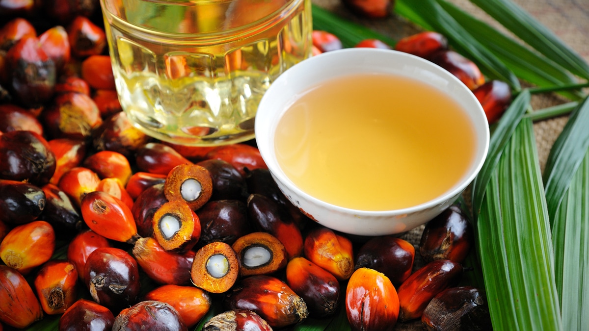 Диетолог развеяла миф о вреде пальмового масла