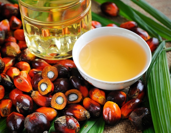 Диетолог развеяла миф о вреде пальмового масла Диетолог развеяла миф о вреде пальмового масла