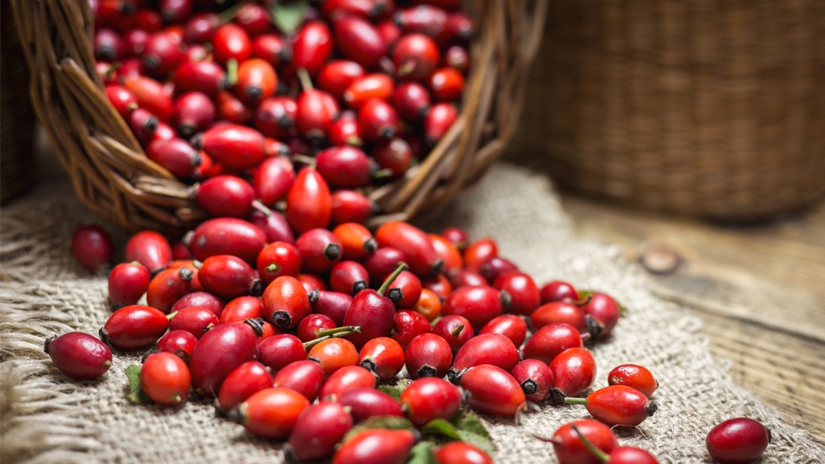 Диетолог: какие российские продукты могут заменить зарубежные суперфуды