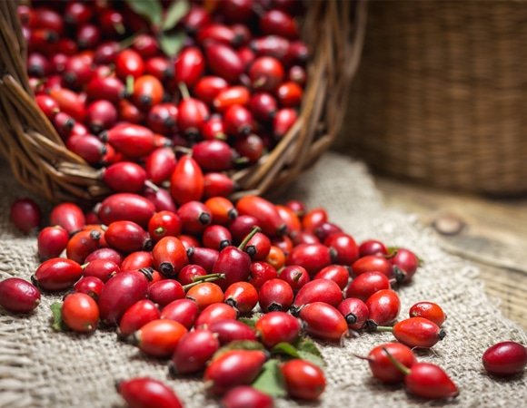 Диетолог: какие российские продукты могут заменить зарубежные суперфуды