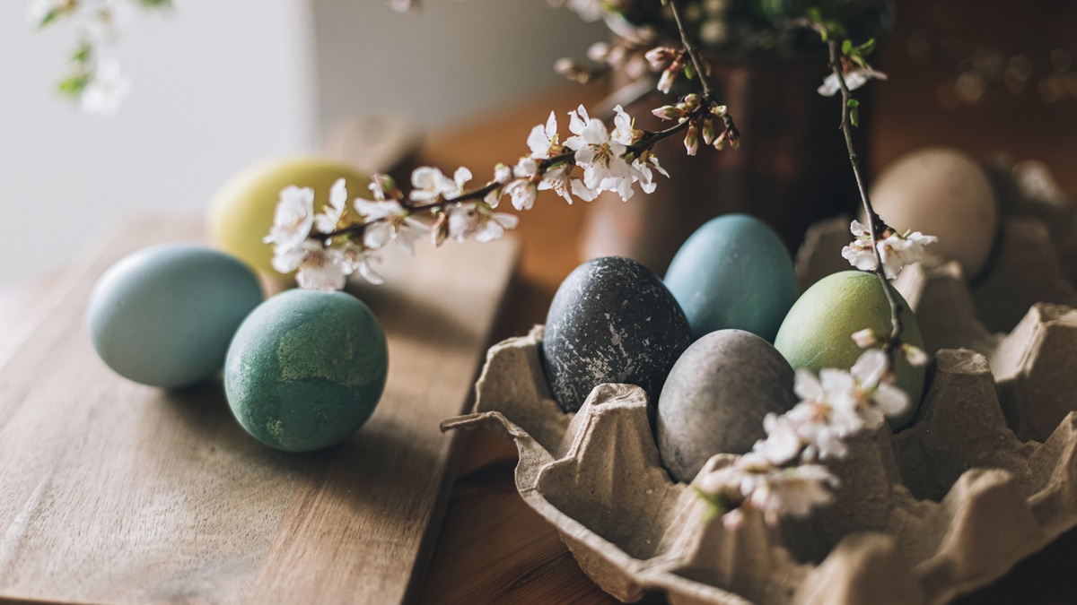 Кому могут навредить яйца на Пасху: мнение диетолога