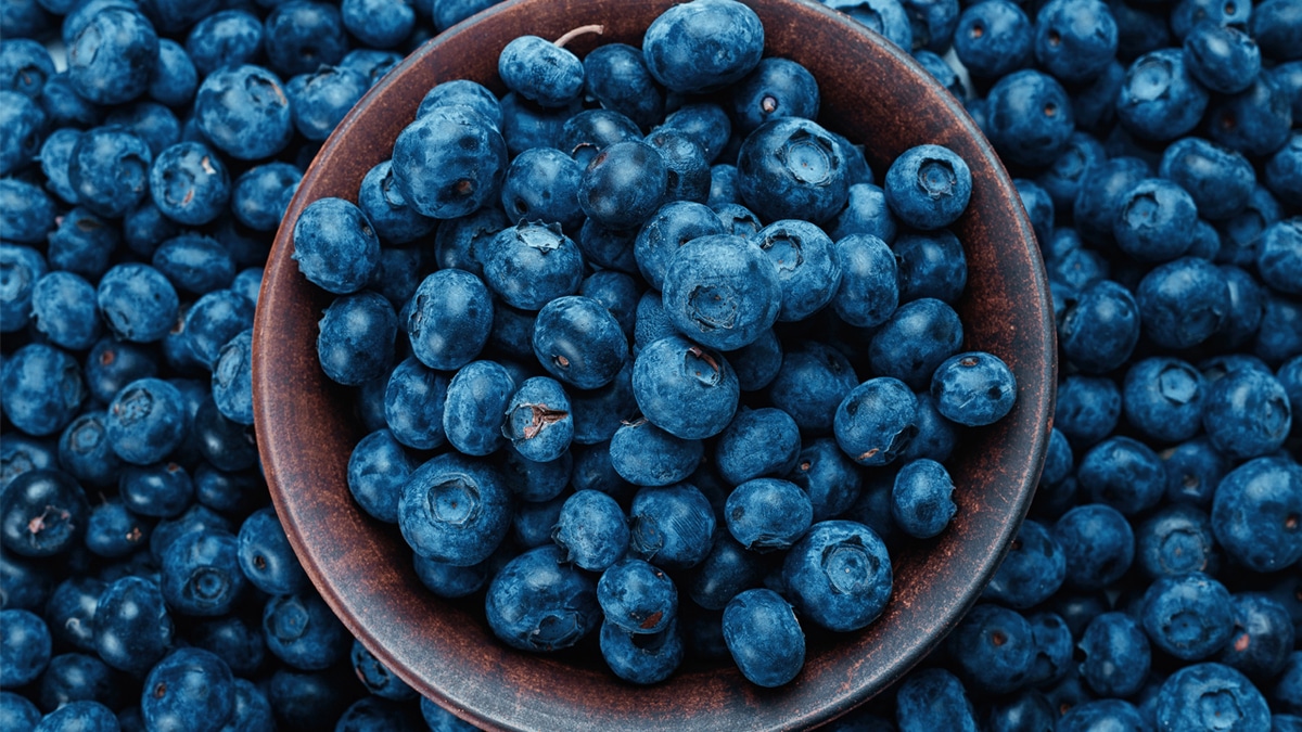 Стало известно, как черника влияет на мозг