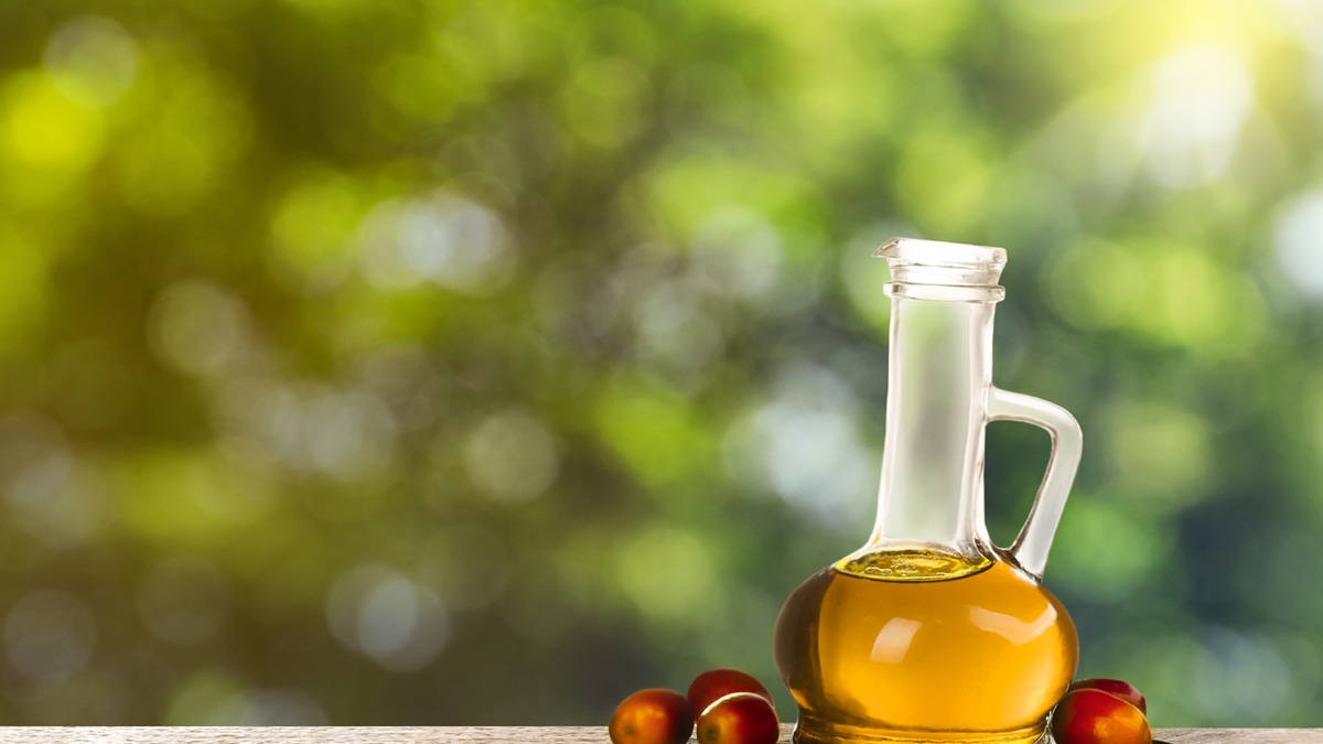 Индонезия запретит экспорт пальмового масла