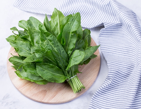 Роскачество: чем полезен щавель для организма человека