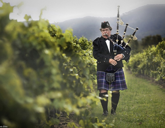 Завершился конкурс для фотографов, которые снимают вино