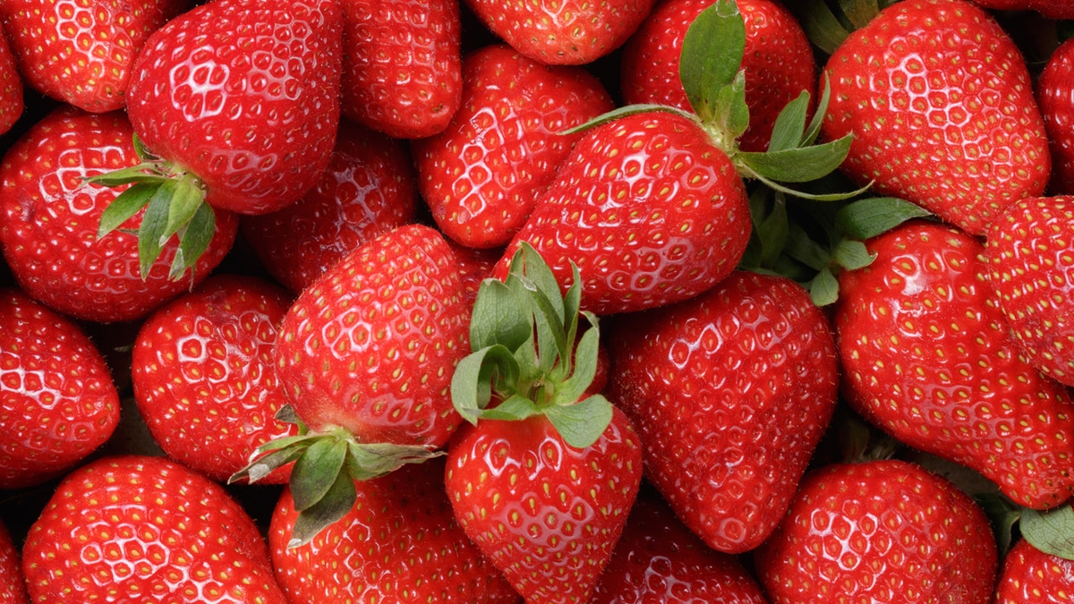 Как определить нитраты в клубнике: советы агронома