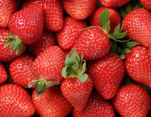 Как определить нитраты в клубнике: советы агронома Как определить нитраты в клубнике: советы агронома