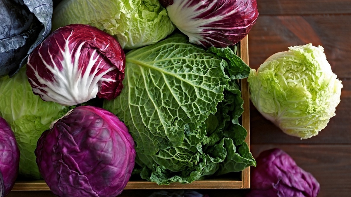 Сто одежек и все без застежек: почему стоит полюбить капусту Сто одежек и все без застежек: почему стоит полюбить капусту