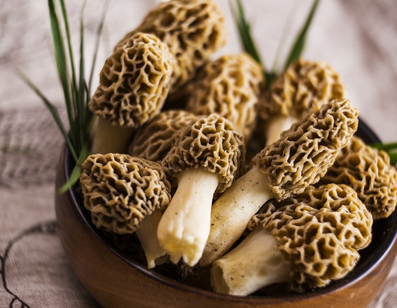 Весенние дары леса: что приготовить со сморчками