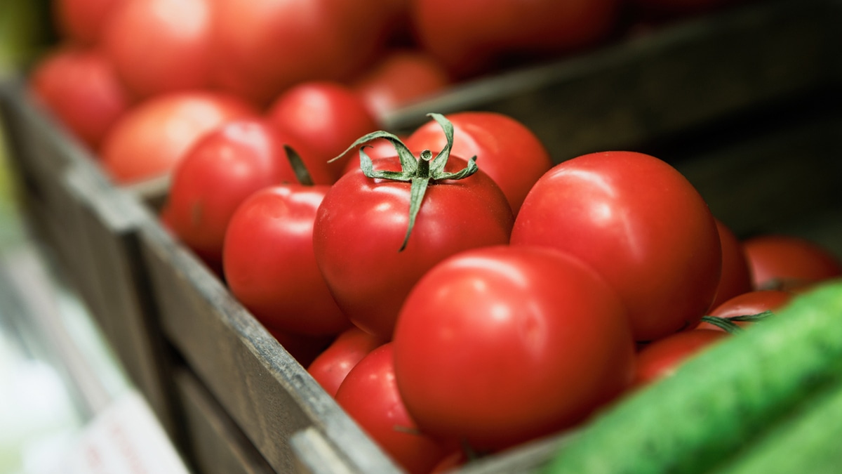 Не так просты: стало известно о вреде помидоров