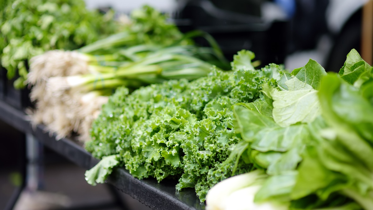 Кому не стоит есть зелень: советы диетолога Кому не стоит есть зелень: советы диетолога