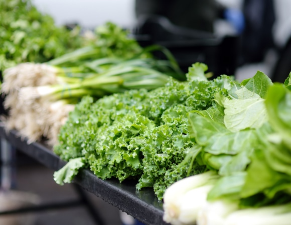 Кому не стоит есть зелень: советы диетолога Кому не стоит есть зелень: советы диетолога