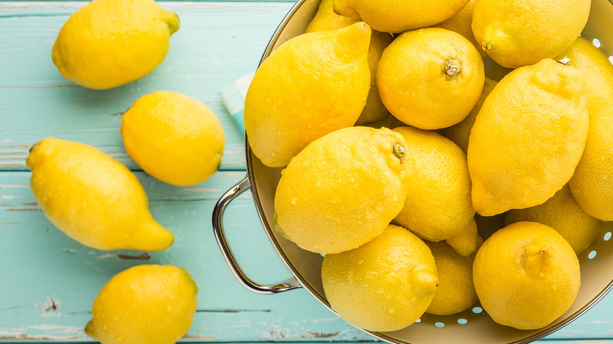 Где хранить лимоны, чтобы они не засохли: мнение эксперта Где хранить лимоны, чтобы они не засохли: мнение эксперта