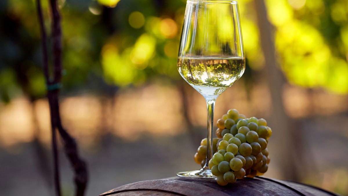 Эксперты дали советы, с чем сочетать вино шардоне
