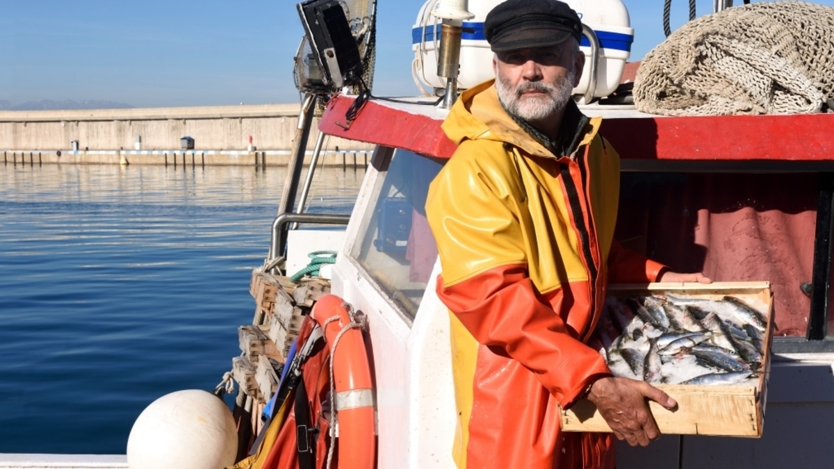 Специалист рассказал, чем опасна сельдь, купленная с рук