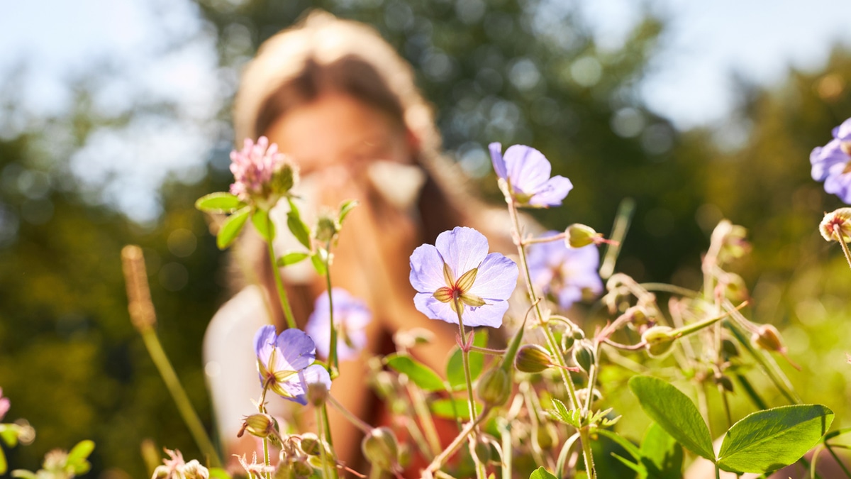 Какие продукты стоит исключить при аллергии на пыльцу: советы диетолога Какие продукты стоит исключить при аллергии на пыльцу: советы диетолога