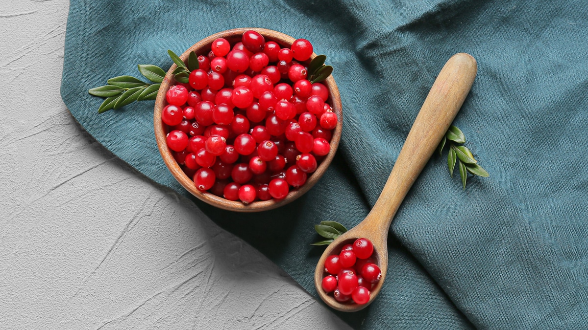 Для молодости: чем еще полезна брусника, рассказала диетолог