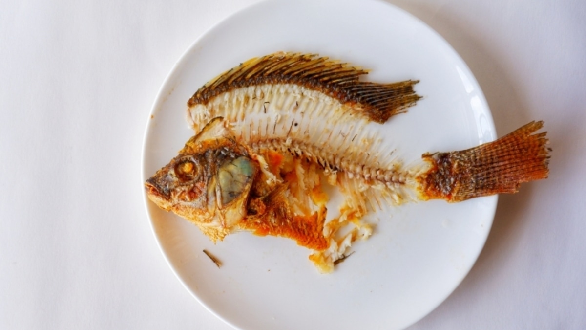 Врач предупредил, чего стоит опасаться, если кость застряла в горле